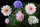 AS Creation AP Digital 3 Fototapete    Flowers        Größe 4,00 m x 2,70 m 470862