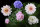 AS Creation AP Digital 3 Fototapete    Flowers        Größe 4,00 m x 2,70 m 476862
