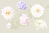 AS Creation AP Digital 3 Fototapete    Flowers...
