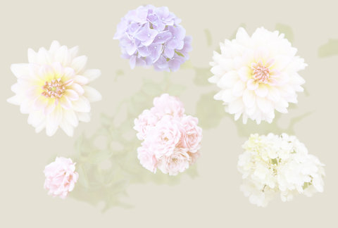 AS Creation AP Digital 3 Fototapete    Flowers        Größe 4,00 m x 2,70 m 476863