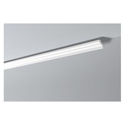 NMC NOMASTYL PLUS  D Profipaket 54 Stck a  2 m  49 x 42 mm