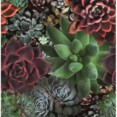 Tapeten Marburg Smart Art Aspiration Bella 46701 Digitaldruck