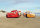 Tapeten Komar 8-4100  Fototapete "Cars Beach Race"   bunt         