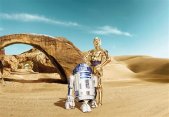 Tapeten Komar 8-484  Fototapete "Star Wars Lost Droids"  blau/beige/gold         