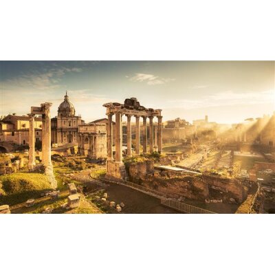 Tapeten Komar SHX10-047  Vlies Fototapete "Forum Romanum"  braun
