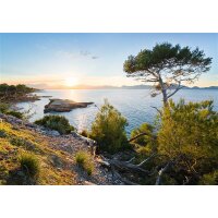 Tapeten Komar SHX8-013  Vlies Fototapete "Licht des...