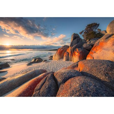 Tapeten Komar SHX8-132  Vlies Fototapete "Bay of Fires"  bunt