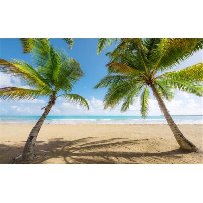 Tapeten Komar SHX9-014  Vlies Fototapete "Caribbean Days II"  bunt