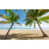 Tapeten Komar SHX9-014  Vlies Fototapete "Caribbean Days II"  bunt