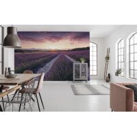 Tapeten Komar SHX9-052  Vlies Fototapete "Lavender Dream"  bunt