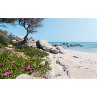 Tapeten Komar SHX9-056  Vlies Fototapete "Mediterrane Träume"  bunt