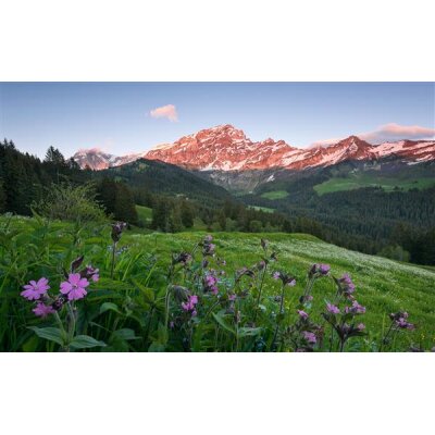 Tapeten Komar SHX9-069  Vlies Fototapete "Picturesque Switzerland"  bunt