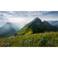 Tapeten Komar SHX9-088  Vlies Fototapete "The Green Queen"  bunt