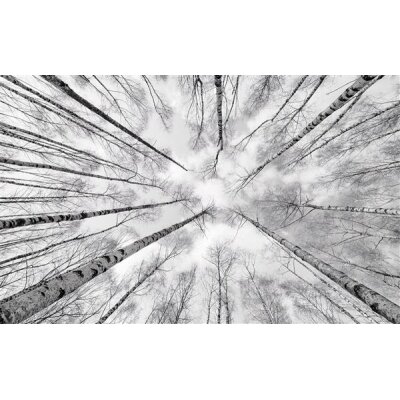 Tapeten Komar SHX9-093  Vlies Fototapete "Weiss-Blau"  schwarz, weiß