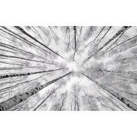 Tapeten Komar SHX9-093  Vlies Fototapete "Weiss-Blau"  schwarz, weiß