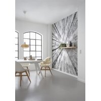 Tapeten Komar SHX9-093  Vlies Fototapete "Weiss-Blau"  schwarz, weiß