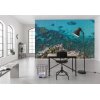 Tapeten Komar SHX9-105  Vlies Fototapete "Bright Blue "  blau
