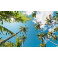 Tapeten Komar SHX9-107  Vlies Fototapete "Coconut Heaven II "  bunt