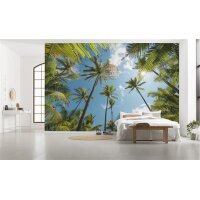 Tapeten Komar SHX9-108  Vlies Fototapete "Coconut Heaven "  bunt