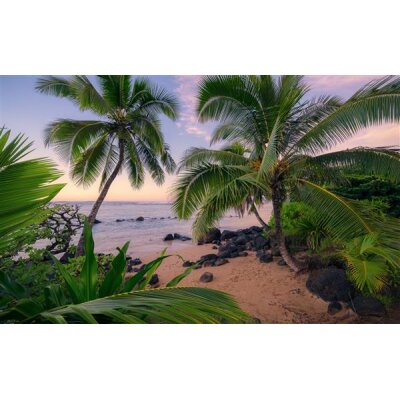 Tapeten Komar SHX9-116  Vlies Fototapete "Hawaiian Dreams "  bunt