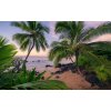 Tapeten Komar SHX9-116  Vlies Fototapete "Hawaiian Dreams "  bunt