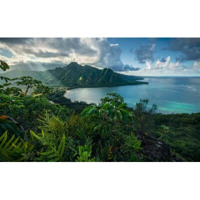 Tapeten Komar SHX9-117  Vlies Fototapete "Jurassic Island "  bunt