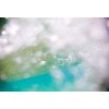 AP Digital 4  Aquatic3