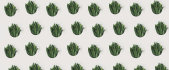 AP Digital 4  Leaf Pattern