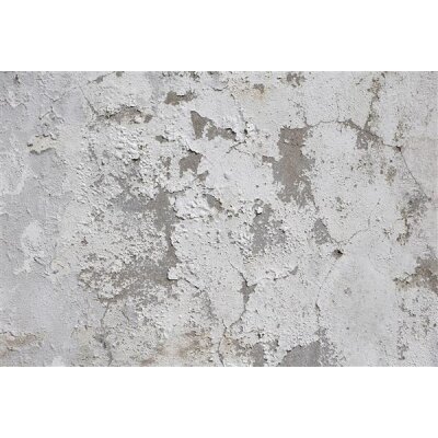 AP Digital 4  PaintedWall1