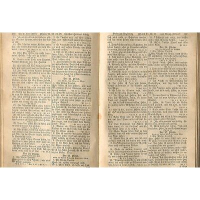 AP Digital 4  Psalm23