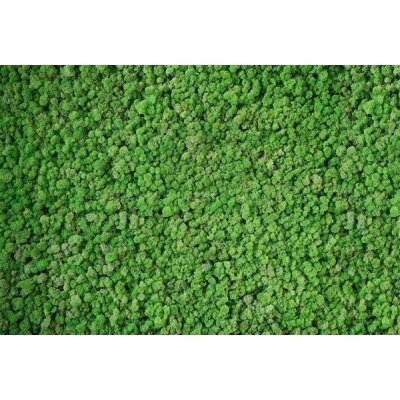 AP Digital 4  Real Moss
