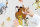Tapeten Komar 14098h Fototapeten Wandtattoo - Lion King Circle of Life  - Größe 50 x 70 cm