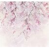 Tapeten Komar INX6-013 Fototapeten Vlies  - Kirschblüten - Größe 300 x 280 cm