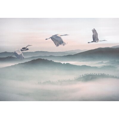 Tapeten Komar INX8-083 Fototapeten Vlies  - Mystic Cranes - Größe 400 x 280 cm