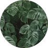 Tapeten Komar D1-023 Selbstklebende Fototapete/Wandtattoo Vlies  - Novel Monstera - Größe 125 x 125 cm