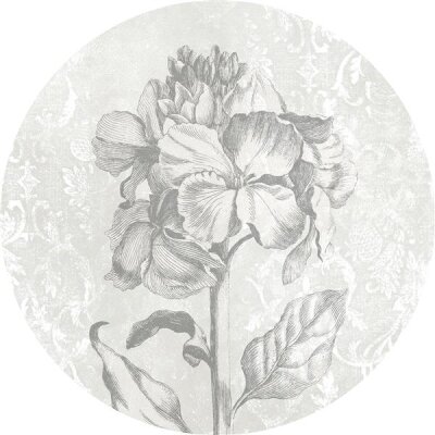 Tapeten Komar D1-031 Selbstklebende Fototapete/Wandtattoo Vlies  - Barock Beauty - Größe 125 x 125 cm