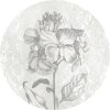 Tapeten Komar D1-031 Selbstklebende Fototapete/Wandtattoo Vlies  - Barock Beauty - Größe 125 x 125 cm