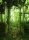 Tapeten Komar SHX4-158 Fototapeten Vlies  - Greenhouse - Größe 200 x 280 cm