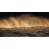 Tapeten Komar SH006-VD1 Fototapeten Vlies  - Golden Wave - Größe 200 x 100 cm