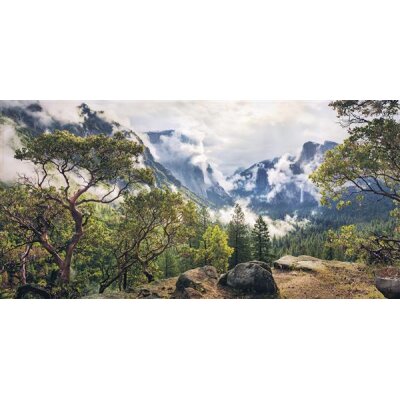 Tapeten Komar SH007-VD1 Fototapeten Vlies  - Unique Paradise - Größe 200 x 100 cm