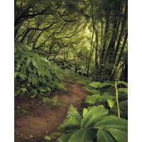 Tapeten Komar SH029-VD2 Fototapeten Vlies  - The Path -...