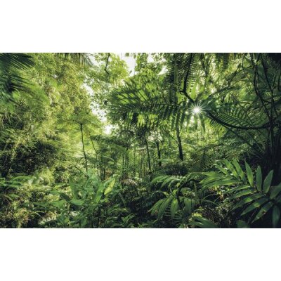 Tapeten Komar SH041-VD4 Fototapeten Vlies  - Into The Jungle - Größe 400 x 250 cm
