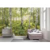 Tapeten Komar SH043-VD4 Fototapeten Vlies  - Birch Trees - Größe 400 x 250 cm