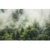 Tapeten Komar SH061-VD4 Fototapeten Vlies  - Forest Land - Größe 400 x 250 cm