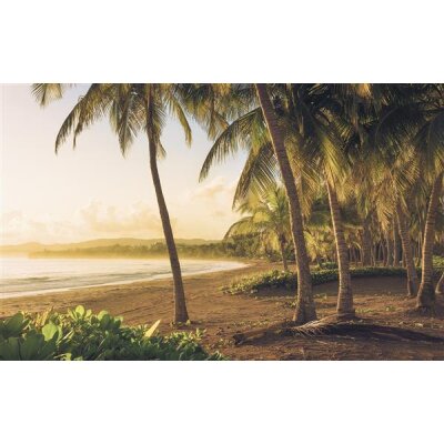 Tapeten Komar SH064-VD4 Fototapeten Vlies  - Golden Lands - Größe 400 x 250 cm