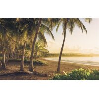 Tapeten Komar SH064-VD4 Fototapeten Vlies  - Golden Lands - Größe 400 x 250 cm