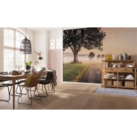 Tapeten Komar SH068-VD4 Fototapeten Vlies  - Misty Morning - Größe 400 x 250 cm