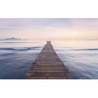 Tapeten Komar SH073-VD4 Fototapeten Vlies  - Peace - Größe 400 x 250 cm