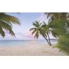 Tapeten Komar SH086-VD4 Fototapeten Vlies  - Paradise Morning - Größe 400 x 250 cm