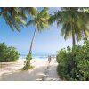 Tapeten Komar SH088-VD3 Fototapeten Vlies  - Palmy Beach - Größe 300 x 250 cm
